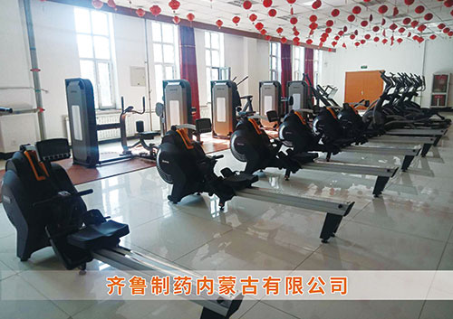 leyu.乐鱼为​齐鲁制药内蒙古分公司打造健身房